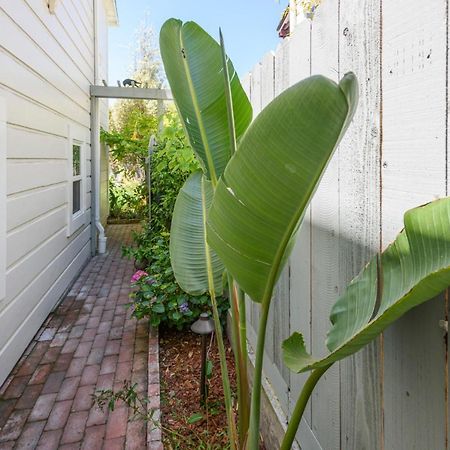 Garden Level Flat In 1885 Queen Anne Victorian Cottage In Alameda Kültér fotó