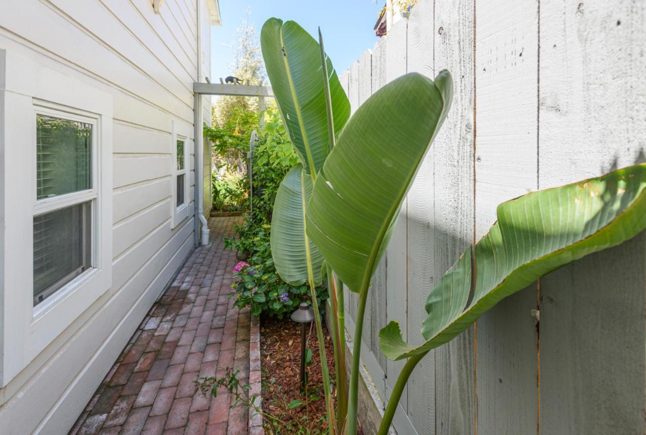 Garden Level Flat In 1885 Queen Anne Victorian Cottage In Alameda Kültér fotó